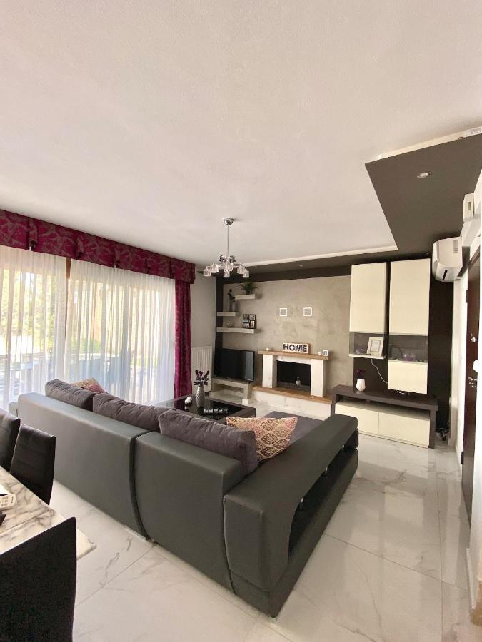 パリウリ Earthy Boutique Luxurious House -Marble Luxury Houseヴィラ エクステリア 写真