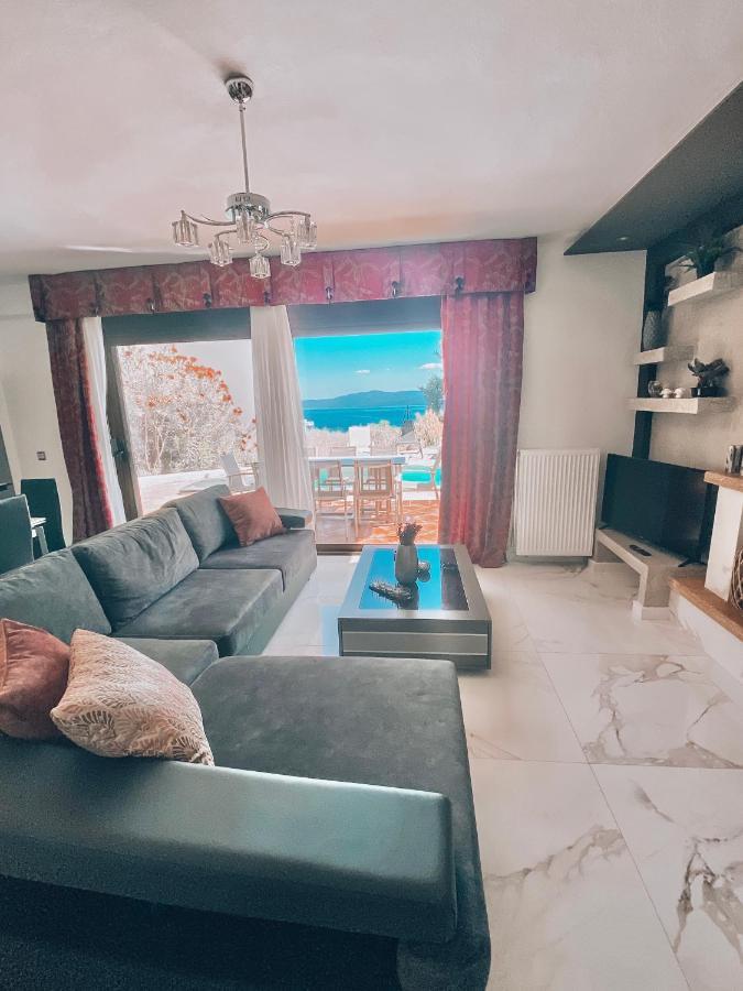 パリウリ Earthy Boutique Luxurious House -Marble Luxury Houseヴィラ エクステリア 写真